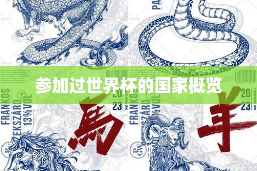 参加过世界杯的国家概览广西贺州市华昌新材料有限公司