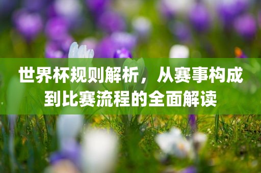 世界杯规则解析，从赛事构成到比赛流程的全面解读