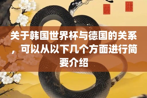 关于韩国世界广西贺州市华昌新材料有限公司杯与德国的关系，可以从以下几个方面进行简要介绍