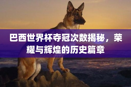 巴西世界杯夺冠次数揭秘，荣耀与辉煌的历史篇章