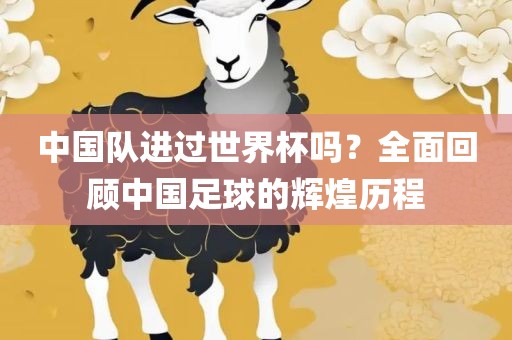 中国队进过世界杯吗？全面回顾中国足球的辉煌历程广西贺州市华昌新材料有限公司