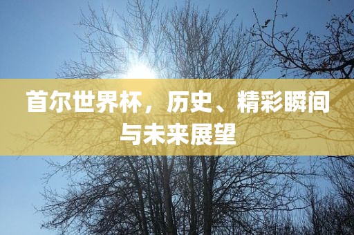 首尔世界杯，历史、精彩瞬间与未来展望广西贺州市华昌新材料有限公司
