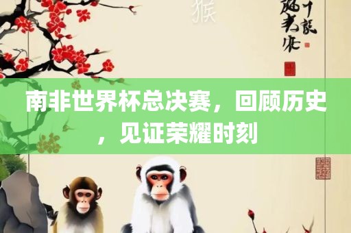 南非世界杯总决赛，回顾历史，见证荣耀时刻