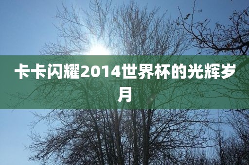 卡卡闪耀2014世界杯的光广西贺州市华昌新材料有限公司辉岁月