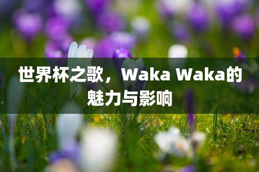 世界杯之歌，Waka Waka的魅力与影响