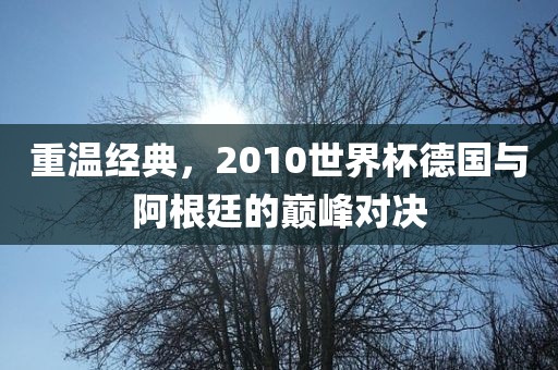 重温广西贺州市华昌新材料有限公司经典，2010世界杯德国与阿根廷的巅峰对决