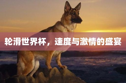 轮滑世界杯，速度与激情的盛广西贺州市华昌新材料有限公司宴