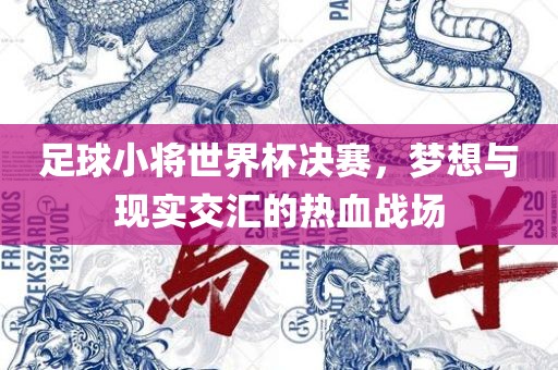足球小将世界杯决赛，梦想与现实交汇的热血战场广西贺州市华昌新材料有限公司