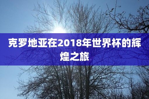 克罗地亚在2018年世界杯的辉煌之旅