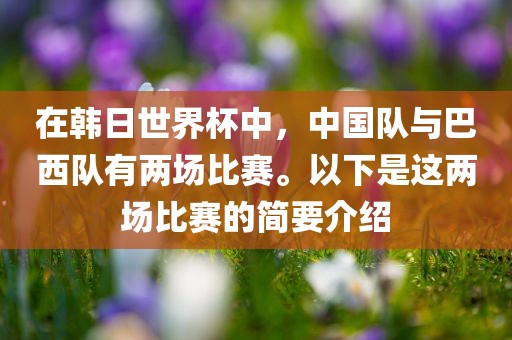 在韩日世界杯中，中国队与巴西队有两场比赛。以下是这两场比赛的简要介绍