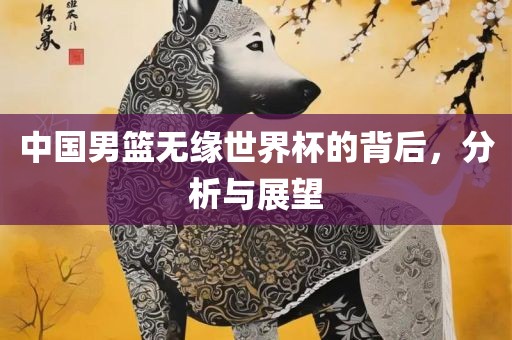 中国男篮无缘世界杯的背后，分析与展望广西贺州市华昌新材料有限公司
