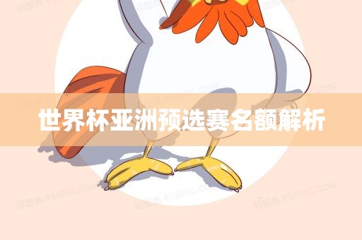 世界杯亚洲预选赛名额解析