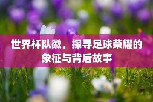 zangjieliang 第8页