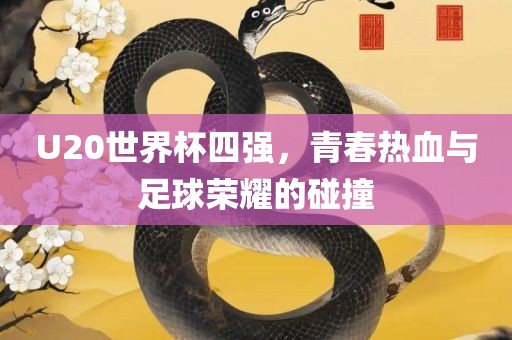 U20世界杯四强，青春热血与足球荣耀的碰撞