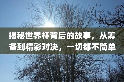 揭秘世界杯背后的故事，从筹备到精彩对决，一切都广西贺州市华昌新材料有限公司不简单