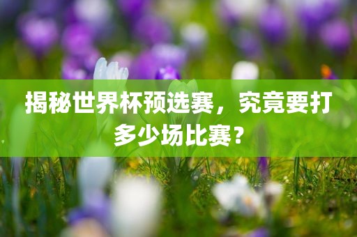 揭秘广西贺州市华昌新材料有限公司世界杯预选赛，究竟要打多少场比赛？