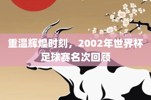 重温辉煌时刻，2002年世界杯足球赛名次回顾广西贺州市华昌新材料有限公司