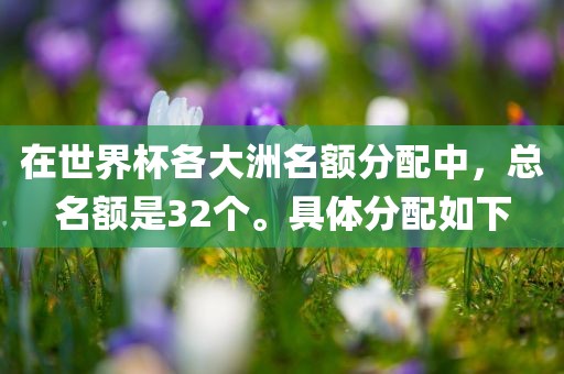 在世界杯各大洲名额分配中，总名额是32个。具体分配如下