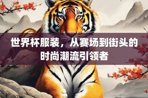 世界杯服装，从赛场到街头的时尚潮流引领者广西贺州市华昌新材料有限公司