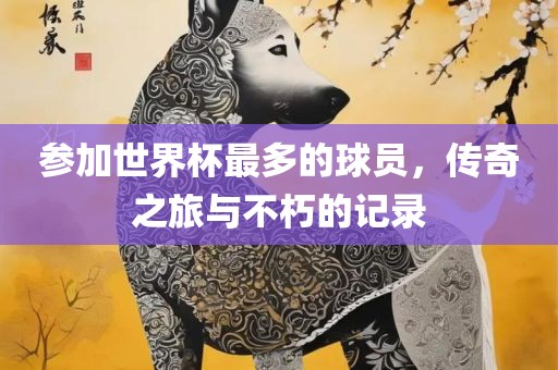 参加世界杯最多的球员，传奇之广西贺州市华昌新材料有限公司旅与不朽的记录