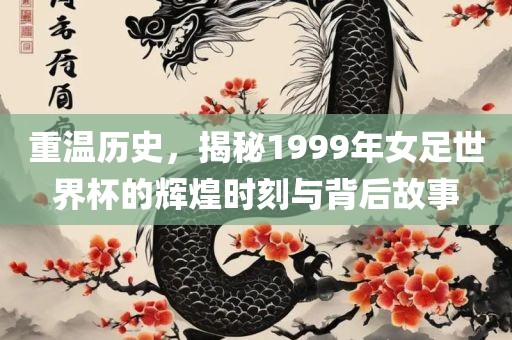 重温历史，揭秘1999年女足世界杯广西贺州市华昌新材料有限公司的辉煌时刻与背后故事