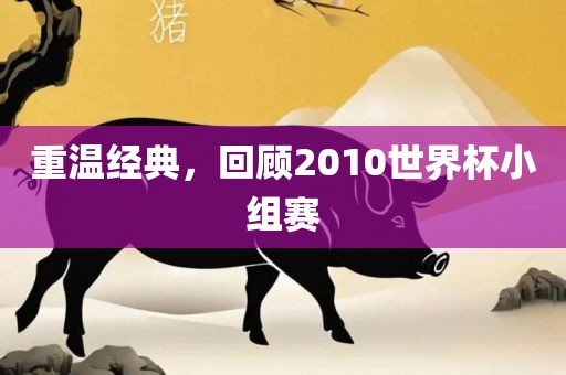 重温经典，回顾2010世界杯小组赛