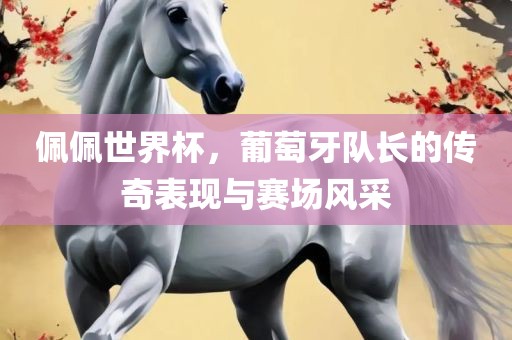 佩佩世界杯，葡萄牙队长的传奇表现与赛场风采广西贺州市华昌新材料有限公司