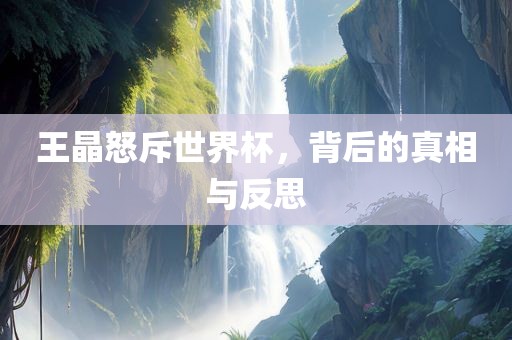 王晶怒斥世界杯，背后的真相与反思广西贺州市华昌新材料有限公司