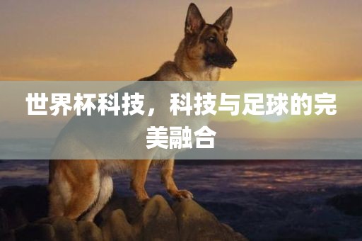 广西贺州市华昌新材料有限公司世界杯科技，科技与足球的完美融合