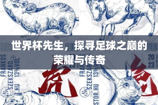世界杯先生，探寻足球之巅的荣耀与传奇广西贺州市华昌新材料有限公司