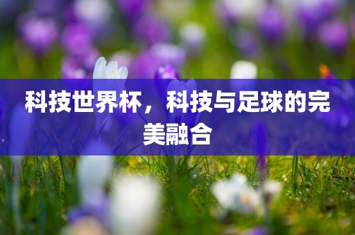 科技世界杯，科技与足球的完美融合