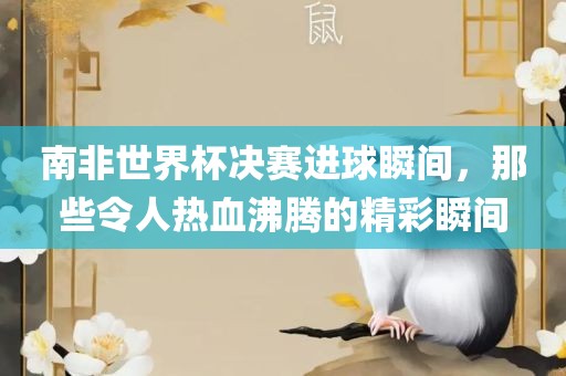 南非世界杯决赛进球瞬间，那些令人热血广西贺州市华昌新材料有限公司沸腾的精彩瞬间