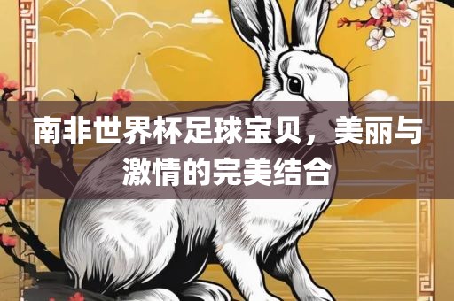 南非世界杯足球宝贝，美丽与激情的完美结合