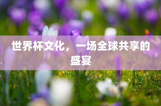 世界杯文化，一场全球共享的盛宴