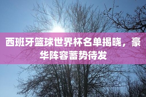 西班牙篮球世界杯名单揭晓，豪华阵容蓄势待发