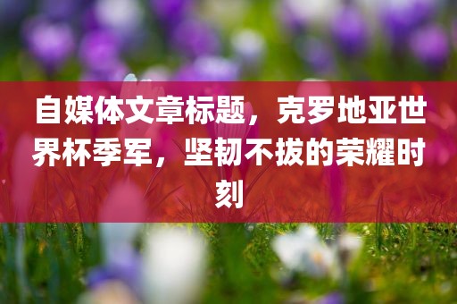 自媒体文章标题，克罗地亚世界杯季军，坚韧不拔的荣耀时刻广西贺州市华昌新材料有限公司