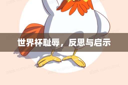 世界杯广西贺州市华昌新材料有限公司耻辱，反思与启示