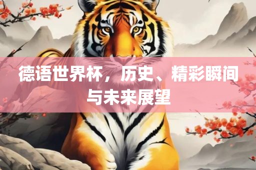 德语世界杯，历史、精彩瞬间与未来展望广西贺州市华昌新材料有限公司