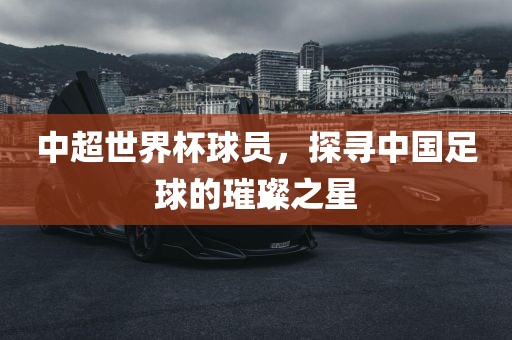 中超世界杯球员，探寻中国足球的璀璨之星广西贺州市华昌新材料有限公司