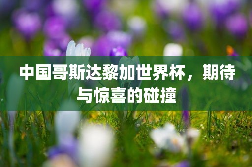 linwanting 第7页