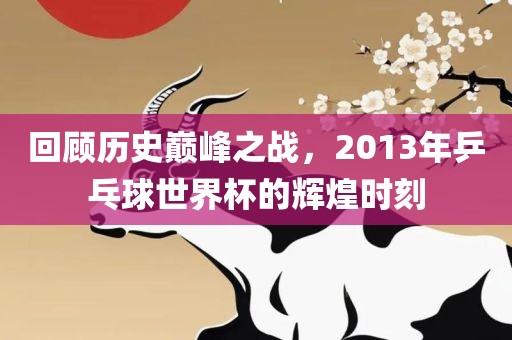 回顾历史巅峰之战，2013年乒乓球世界杯的辉煌时刻