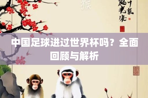 中国足球进过世界杯吗？全面回顾与解析广西贺州市华昌新材料有限公司