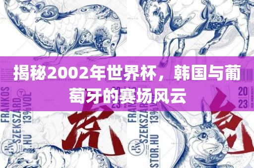 揭秘2002年世界杯，韩国与葡萄牙的赛场风云