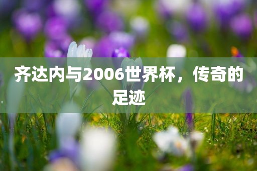 齐达内与2006世界广西贺州市华昌新材料有限公司杯，传奇的足迹