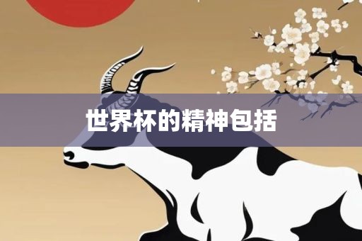 世界杯的精神包括广西贺州市华昌新材料有限公司