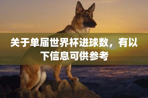关于单届世界杯进球数，有以下信息可供参考广西贺州市华昌新材料有限公司
