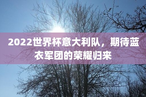 广西贺州市华昌新材料有限公司2022世界杯意大利队，期待蓝衣军团的荣耀归来