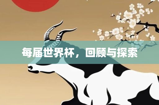 每届世界杯，回顾与探索广西贺州市华昌新材料有限公司