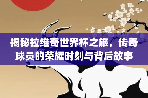 揭秘拉维奇世界杯之旅，传奇球员的荣耀时刻与背后故事