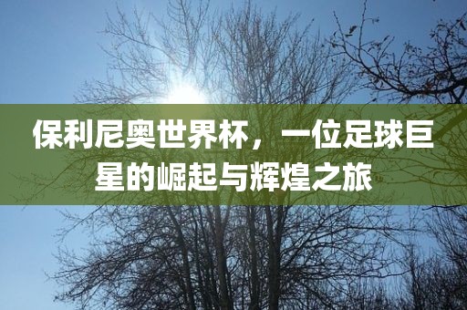 保利尼奥世界杯，一位足球巨星的崛起与辉广西贺州市华昌新材料有限公司煌之旅